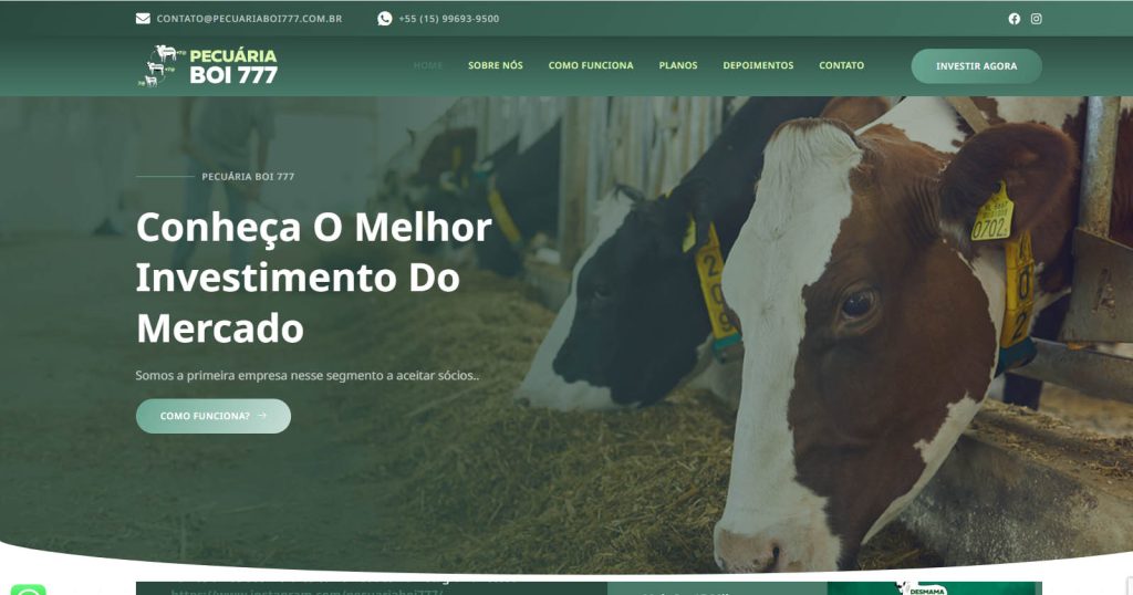 Pecuária Boi 777