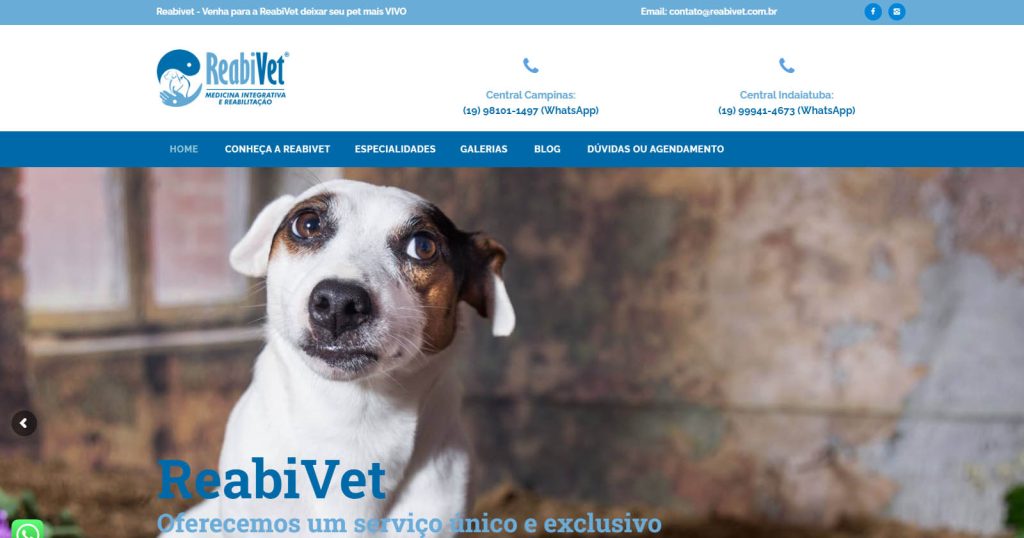 Reabivet